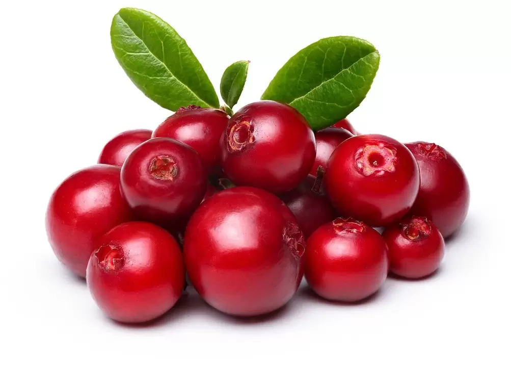 Cranberry in women